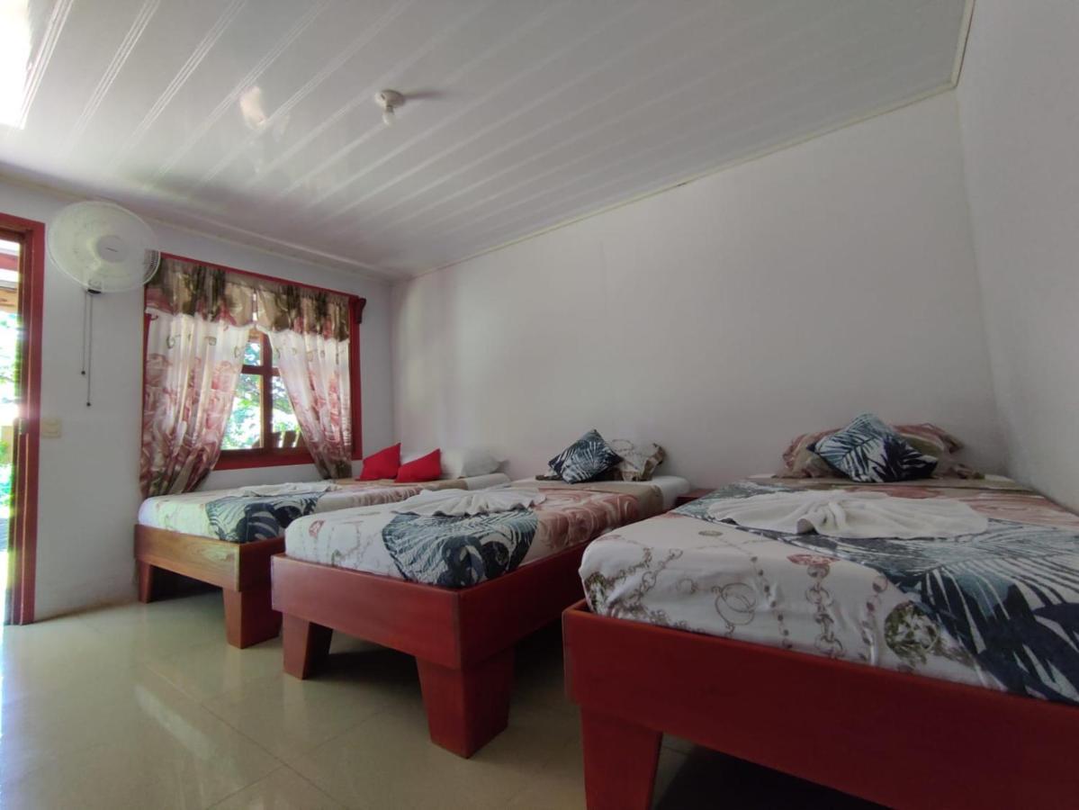 Cabanas Daneysha Тортугеро Екстериор снимка